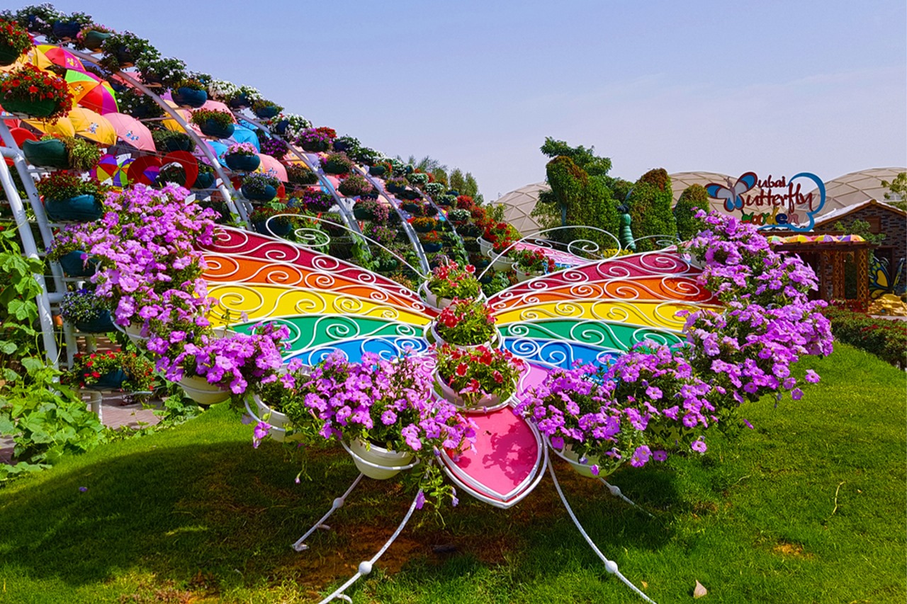 Miracle Garden